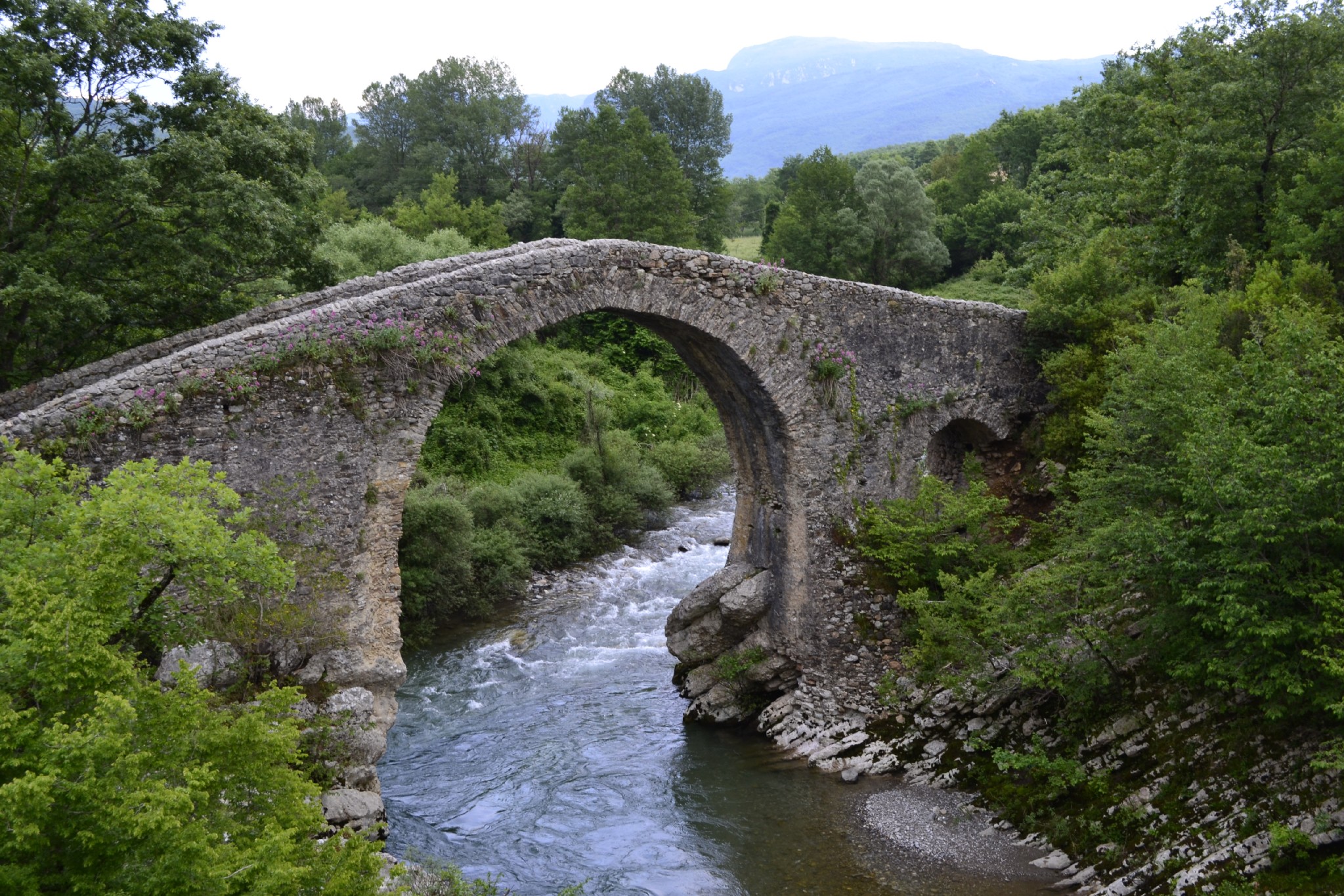 Magliano Ponte Medievale